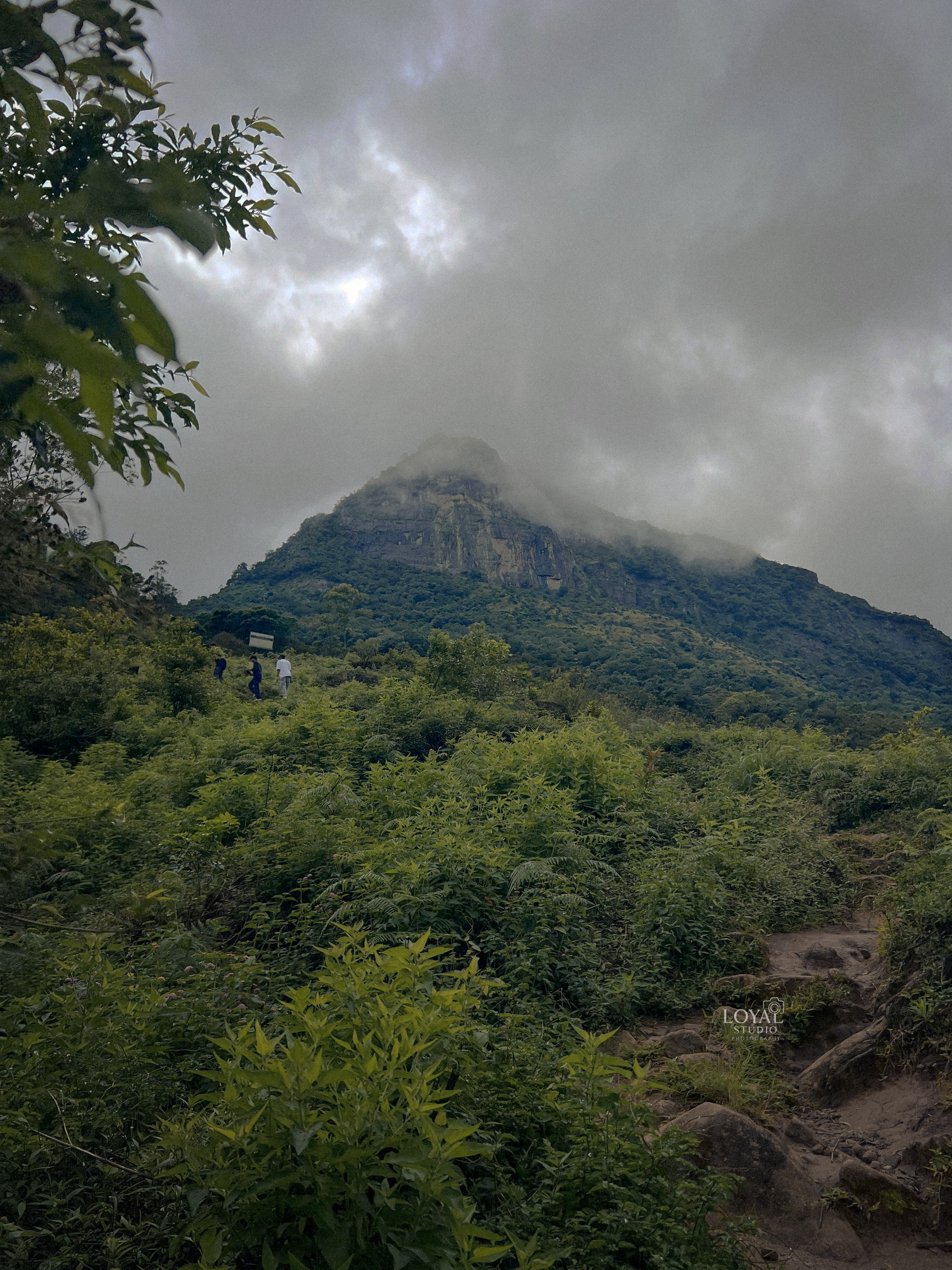 Mountain Landscape